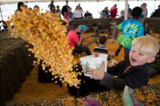 Trip Dunn, 3, throws a bucket of corn in the corn pit at the 9th Annual Easter Eggstravaganza at Lazy 5 Ranch on March 31, 2018. (Photo by Rebecca Benson)